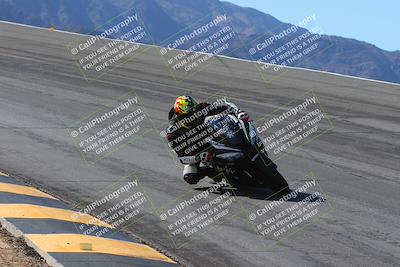 media/Feb-04-2024-SoCal Trackdays (Sun) [[91d6515b1d]]/1-Bowl (950am)/